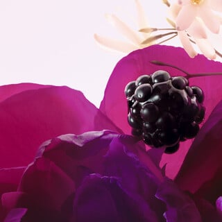 MISS DIOR ESSENCE PERFUMES